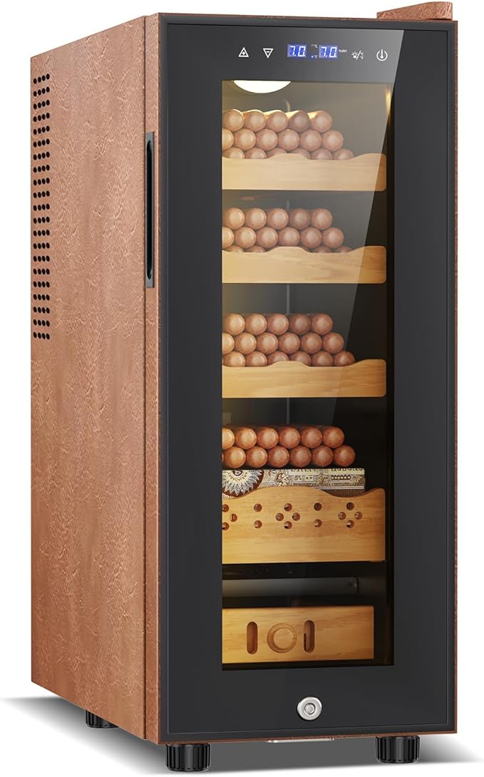 Electric Cooler Cabinet 35L by FoMup