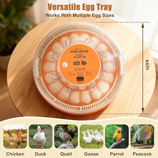 2nd Gen 30 Egg Incubator, Wide-Range Humidity - Image 7