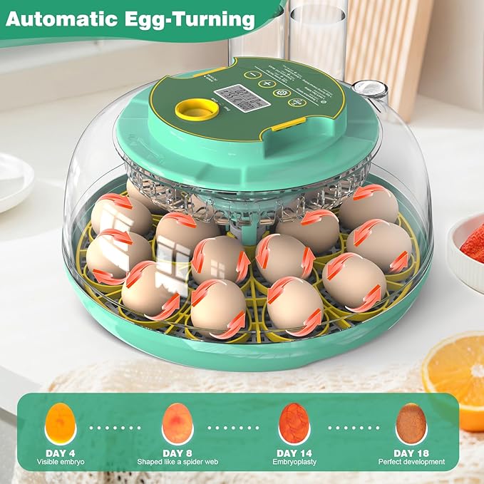 18 Egg Incubator with Automatic Egg Turning and Humidity Control, Chicken Egg - Image 4
