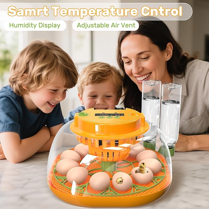 Incubators for Hatching Eggs, 12 Egg Incubator - Image 2