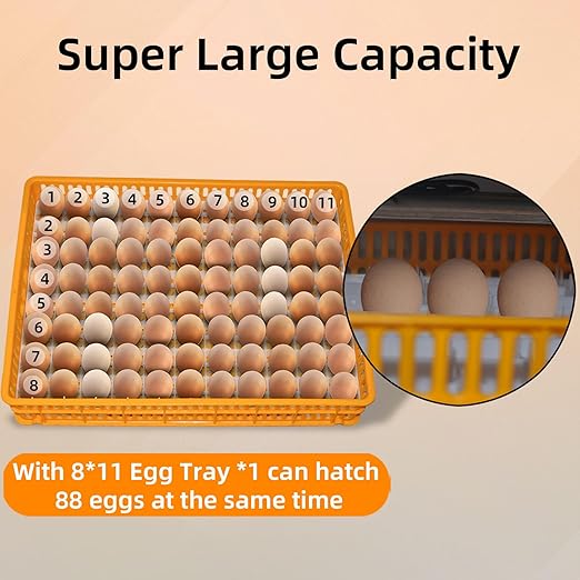 XKV 88 Egg Incubator with Automatic Egg Turning, Temperature Control and - Image 9