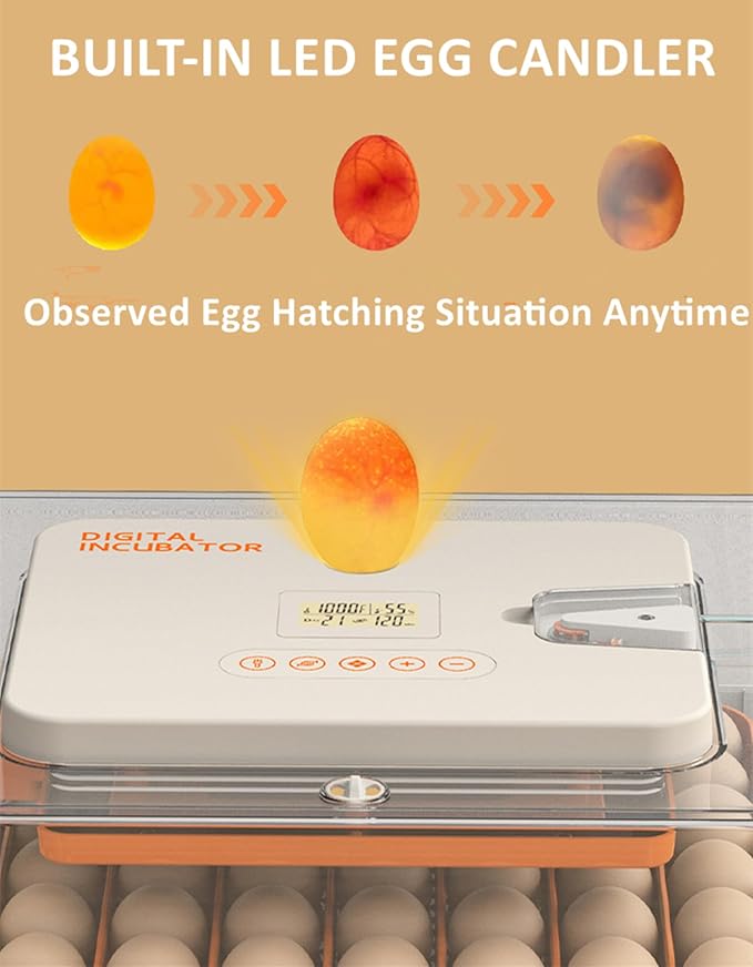 Egg Incubator for Hatching Eggs, Intelligent 56 Eggs Incubator - Image 4
