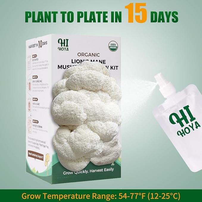 Large Organic Lion's Mane Mushroom Grow Kit - Image 3