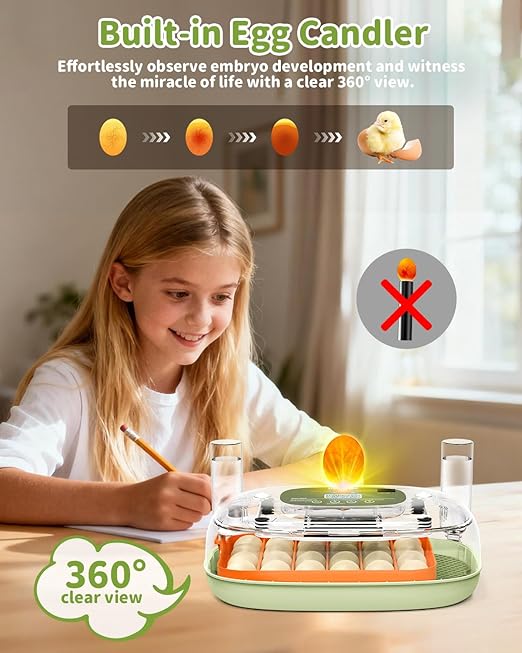 Egg Incubator for 24 Chicken Eggs - Image 6