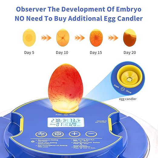 18 Egg Incubator with Auto Turn & Humidity Control, 360° View Poultry Hatcher - Image 2
