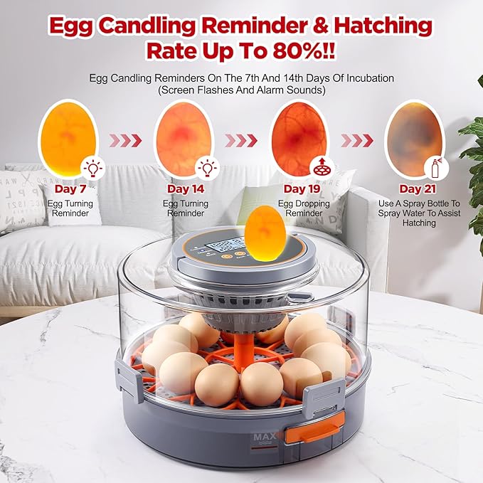 Chicken Egg Incubator 12-40 Eggs - Image 6