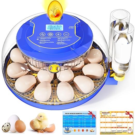 Incubator for Hatching 18 Eggs by Unknown