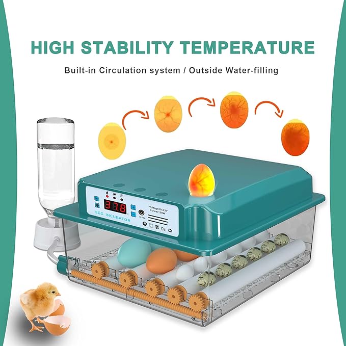 Choies 16 Egg Incubator, Incubators - Image 6