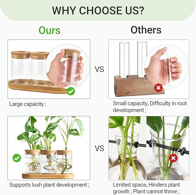Dahey Plant Propagation Terrarium Desktop Glass Planter Station Water Planting - Image 3