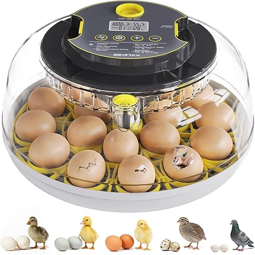 Incubator for Hatching Eggs-18 Egg Capacity, Automatic Egg Turner, Temperature by IBKINXX