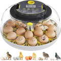 Incubator for Hatching Eggs-18 Egg Capacity, Automatic Egg Turner, Temperature by IBKINXX