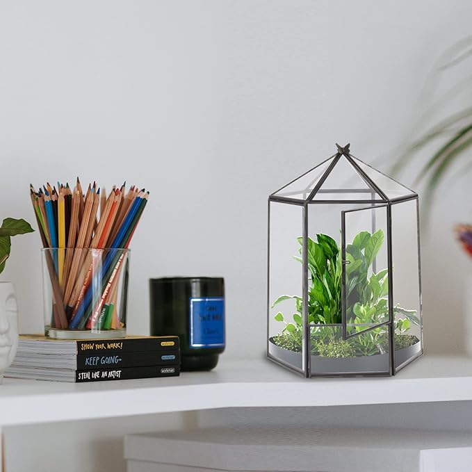 ELEGANTLIFE Glass Geometric Plant Terrarium, Succulent & Air Planter - Image 7