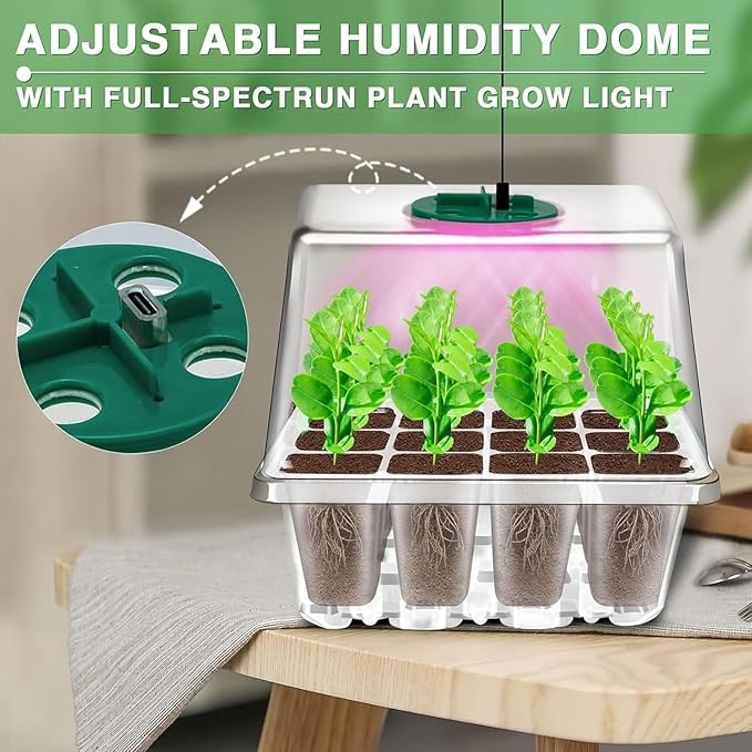 YAUNGEL Seed Starter Tray with Grow Light, 6 Pack Seed Starter Kit with Timing - Image 6