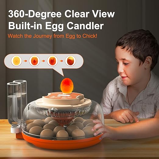 18 Egg Incubator, Automatic Turning - Image 7