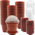 50 Packs Cupcake Plant Nursery Pots by PurpleStar