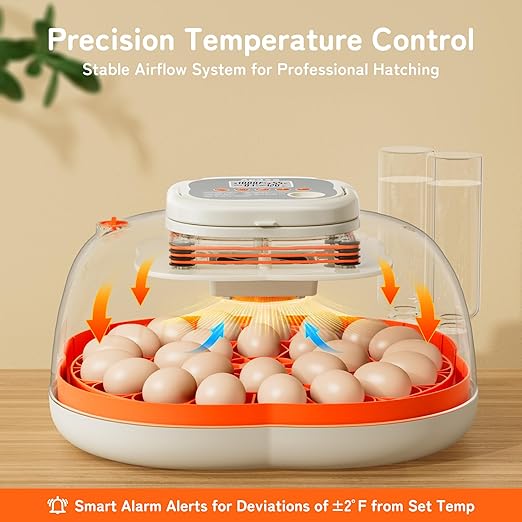 25 Egg Incubator, Extra-Large Interior - Image 3