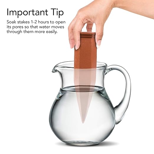 Modern Innovations Ceramic Terracotta Self Watering Spikes Vacation Automatic - Image 6