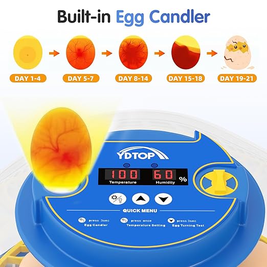Chicken Egg Incubators for Hatching Eggs, 12 Egg Incubator - Image 5
