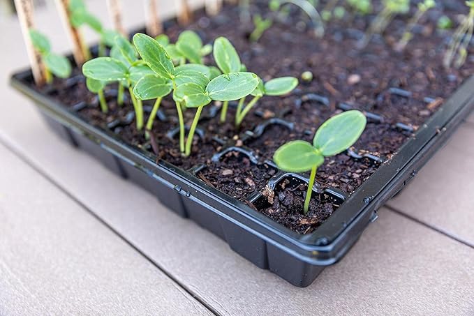 Gardzen Seed Starter Tray, 5 Pack Smiling Face Plant Germination Trays - Image 8