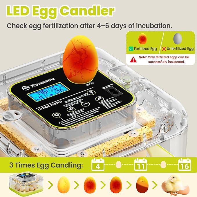 Egg Incubators for Hatching Eggs, 12 Egg Incubator - Image 5