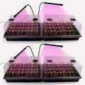 Seed Starter Tray with Grow Lights – 4 Pack Seedling Trays with 5" Humidity by RooTrimmer