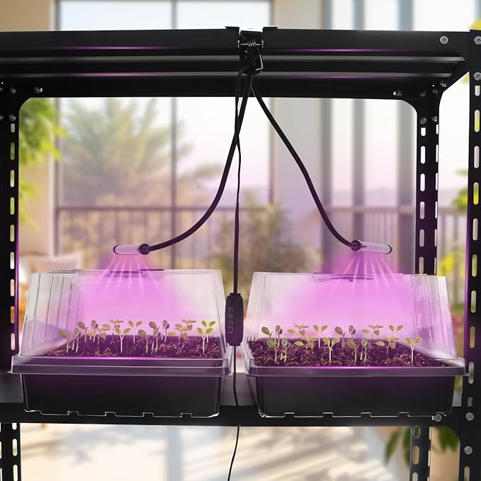 Seed Starter Tray with Grow Lights – 4 Pack Seedling Trays with 5" Humidity - Image 6