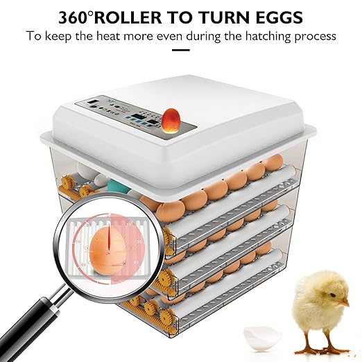Egg Incubator, Egg Incubator - Image 2