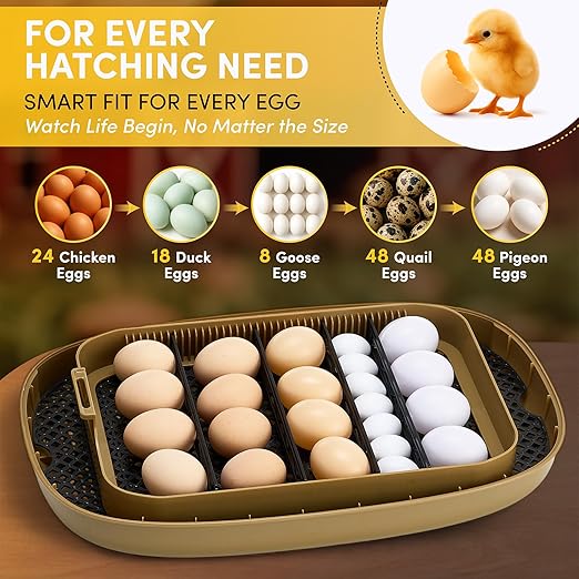 HIRALIY Incubator for Hatching Eggs, 48 Quail Capacity, Chicken & Quail Egg - Image 3