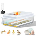 Incubators for Hatching Eggs, 36 Egg Incubator by Unknown