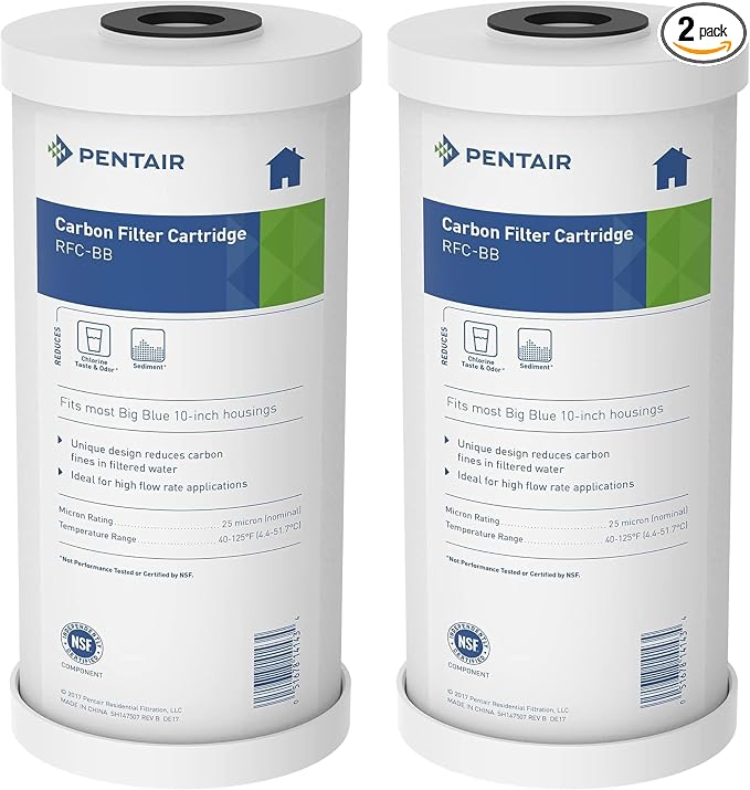 Pentair Pentek RFC-BB Big Blue Radial Flow Carbon Water Filter, Whole House by PENTAIRPENTEK
