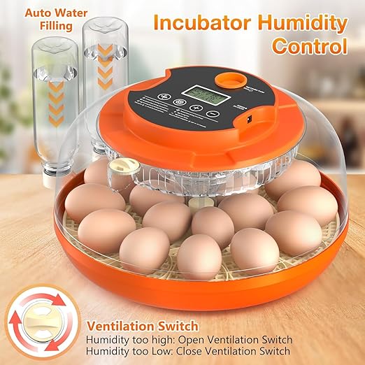 18 Egg Incubator with Automatic Egg Turning and Humidity Control, Eggs - Image 6