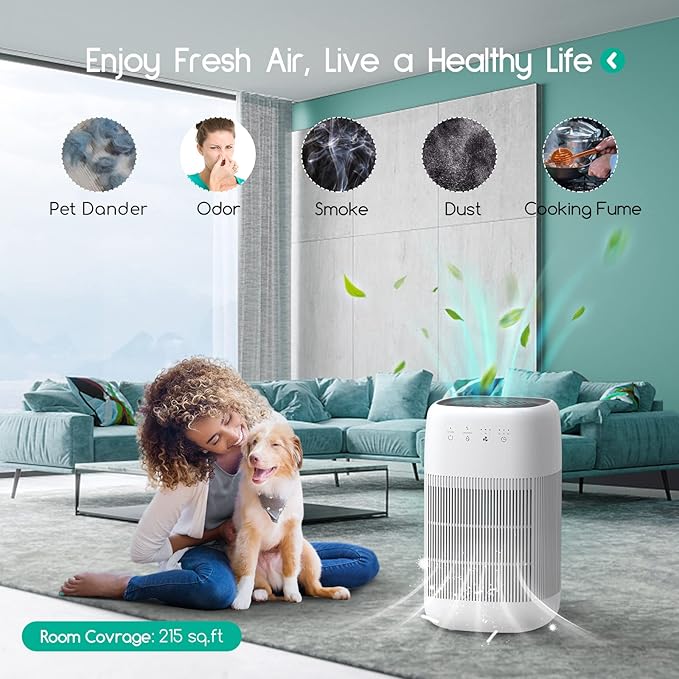 Afloia Air Purifier and Dehumidifier in 1, Air Purifier - Image 2