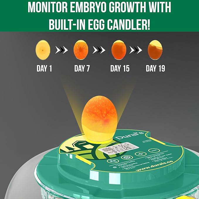 Dural's DX5® | Professional 18 Egg Incubator - Image 7
