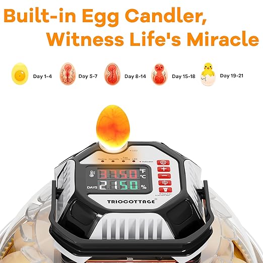 Incubators for Hatching Eggs 12-18 Egg Incubator - Image 3