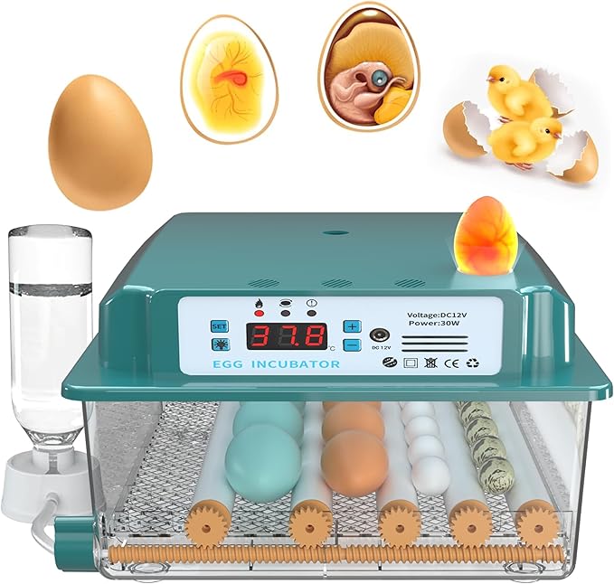 Choies 16 Egg Incubator, Incubators by ChoiesClothing