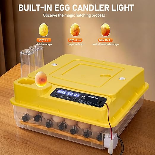 Winado Incubators for Hatching Eggs, 30 Egg Incubator - Image 5