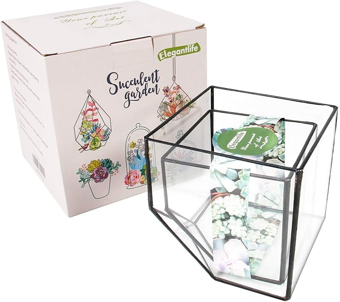 ELEGANTLIFE Glass Geometric Plant Terrarium Container, Flower Pot Tabletop - Image 8