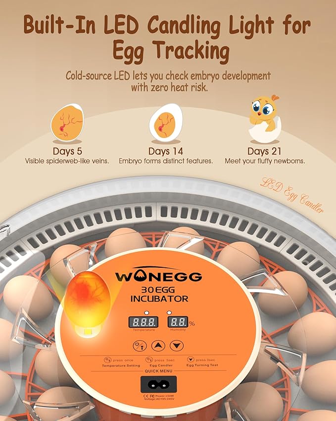 30 Egg Incubators for Hatching Eggs - Image 4