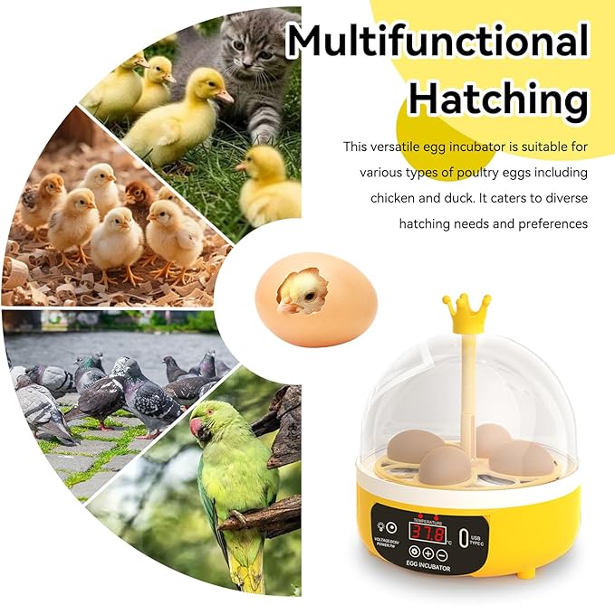 Mini Egg Incubator, 4 Egg Incubator Household Hatching Machine Automatic - Image 7