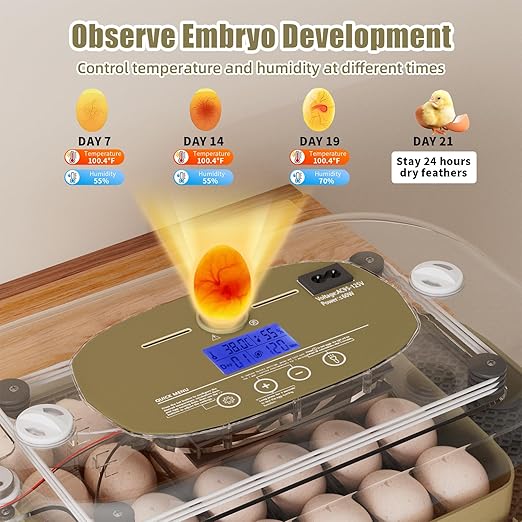 XOTTI Incubator for Hatching Eggs, 24 Egg Incubator - Image 7