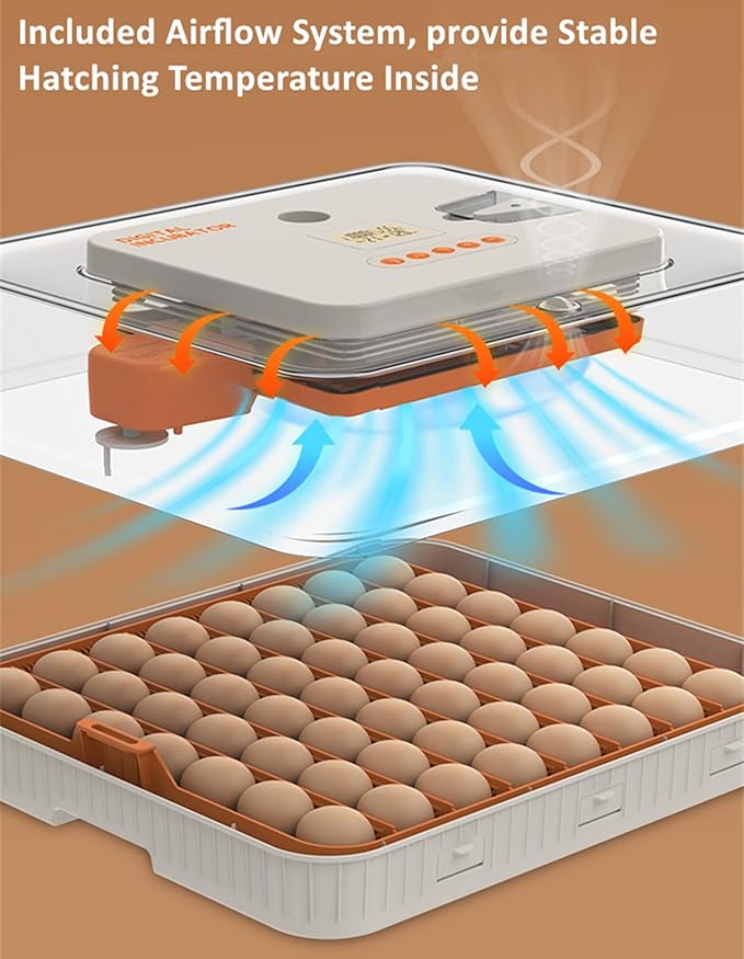 Egg Incubator for Hatching Eggs, Intelligent 56 Eggs Incubator - Image 5