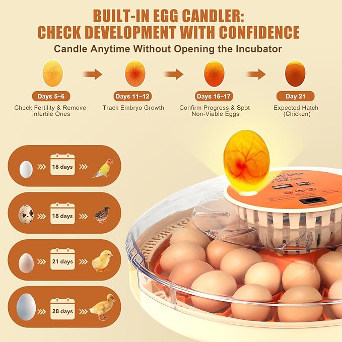 Core Max 30 Egg Incubator for Large-Batch Hatchers, Hands-On Control, Auto Egg - Image 2