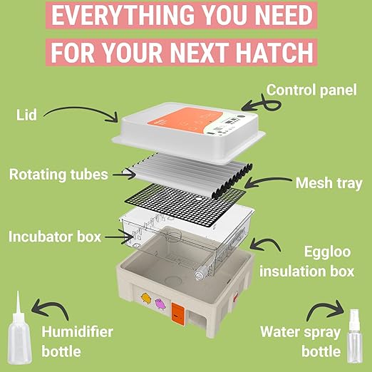 OBI-36 Egg Incubator for Hatching - Image 4