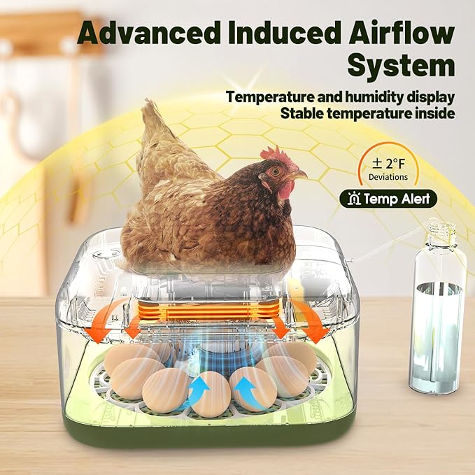 12 Egg Incubator with Automatic Egg Turning and Humidity Control, LED Egg - Image 7