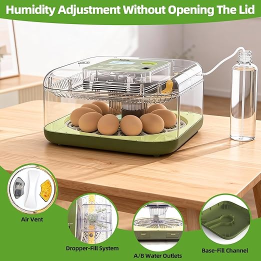 12 Egg Incubator for Hatching Eggs - Image 4