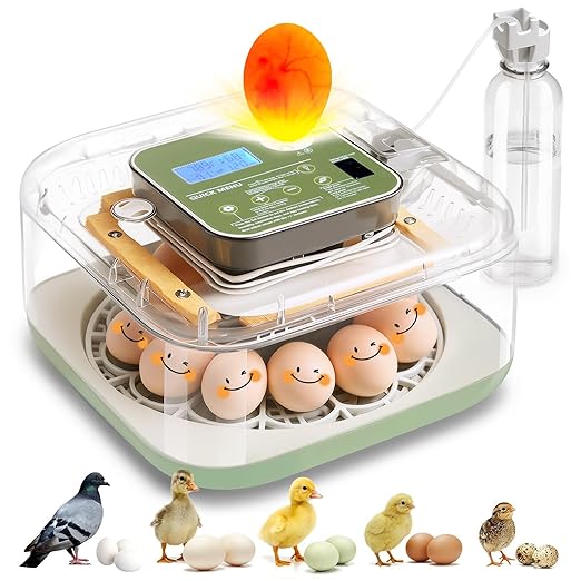 Incubator for Hatching Eggs Automatic Humidity and Temperature Control 12 Eggs by Unknown