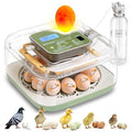Incubator for Hatching Eggs Automatic Humidity and Temperature Control 12 Eggs by Unknown