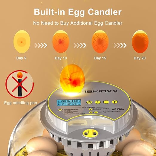 Incubator for Hatching Eggs-12 Egg Capacity, 2026 Newly Upraded Automatic Egg - Image 2