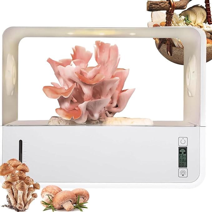Mushroom Grow Tent, Indoor Mushroom Grow Box by Unknown
