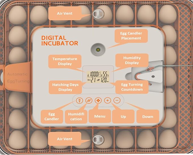 Egg Incubator for Hatching Eggs, Intelligent 56 Eggs Incubator - Image 2